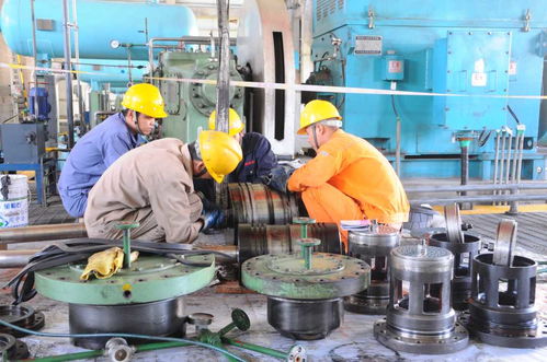 河南安陽殷都區(qū) 不負春光 搶抓生產(chǎn)