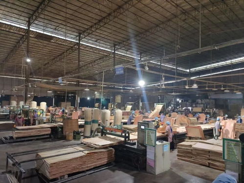 山圩產業(yè)園延鏈補鏈強鏈助推木業(yè)產業(yè)高質量發(fā)展